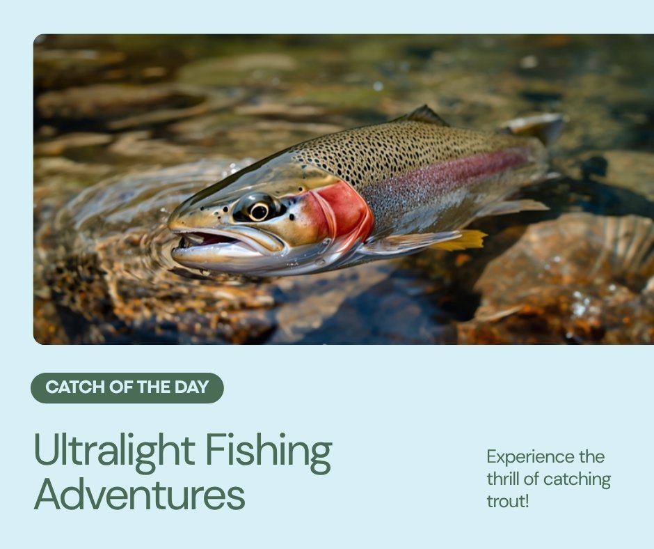 Ultralight fishing rods for small species